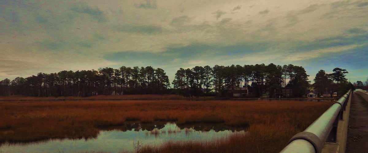 A bridge over a marshy area with a line of trees in the background.