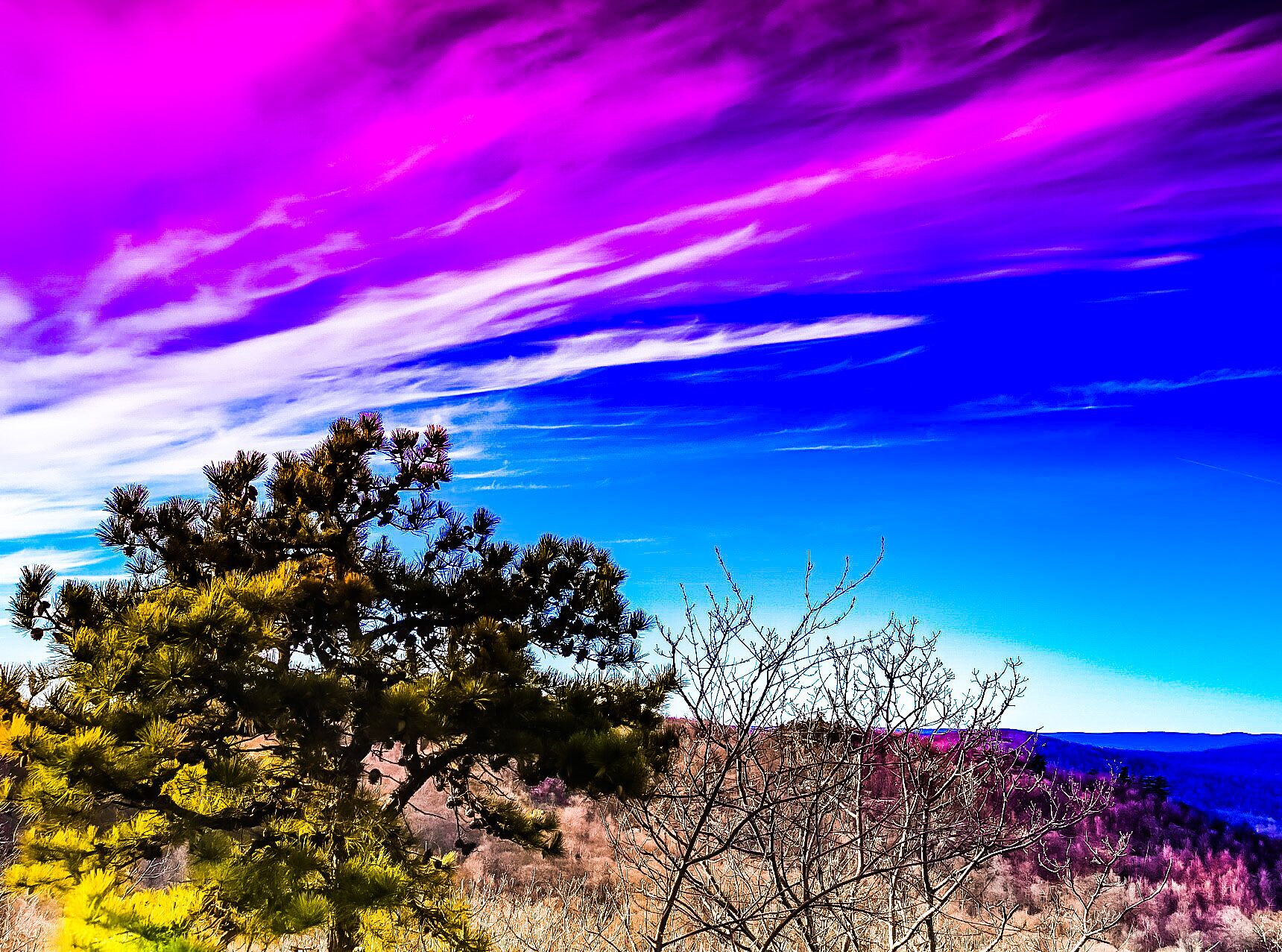 A landscape with a prominent tree and a clear blue sky with purple clouds.