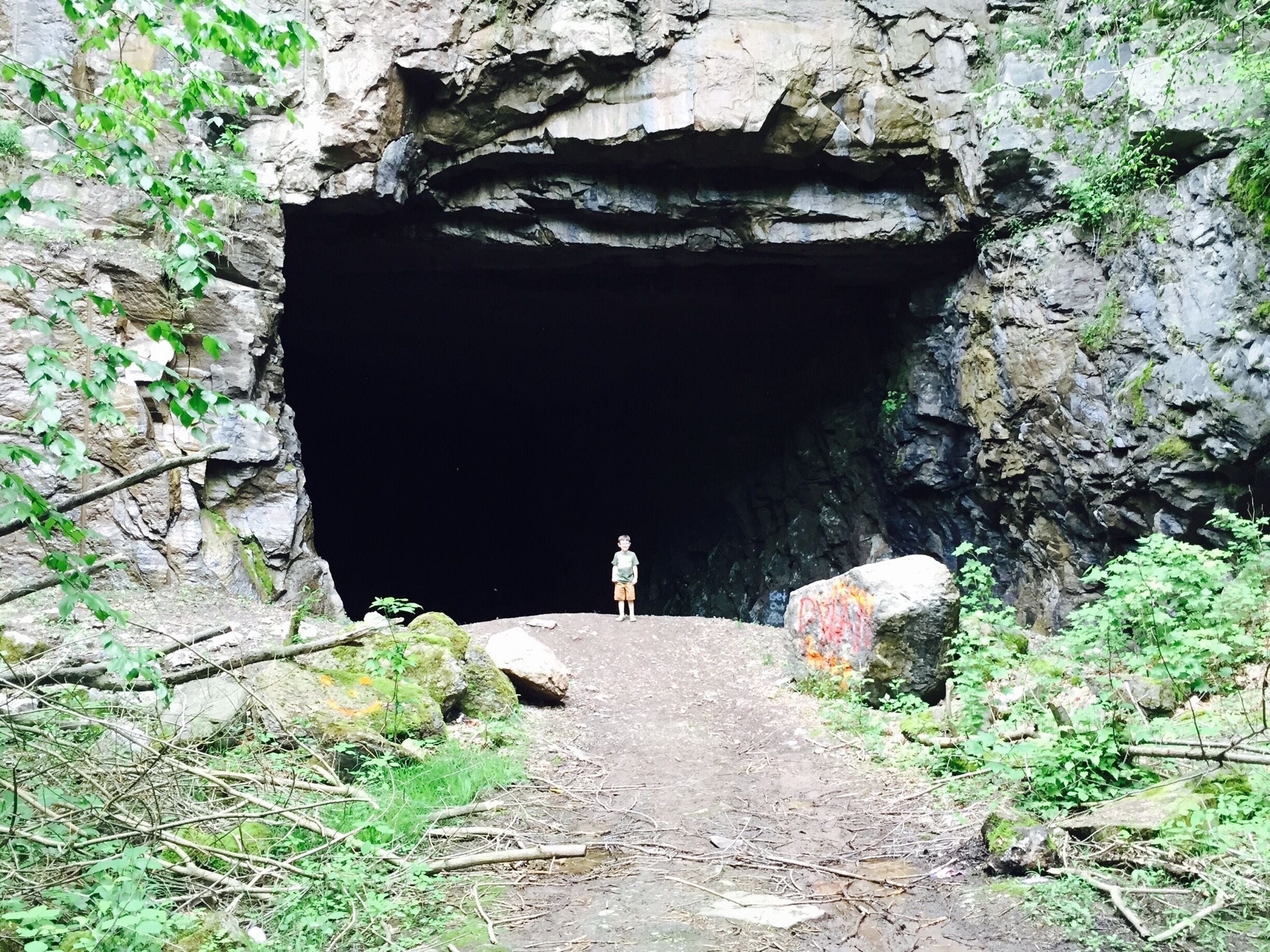 Front entrance to cave system off the Cheat River 