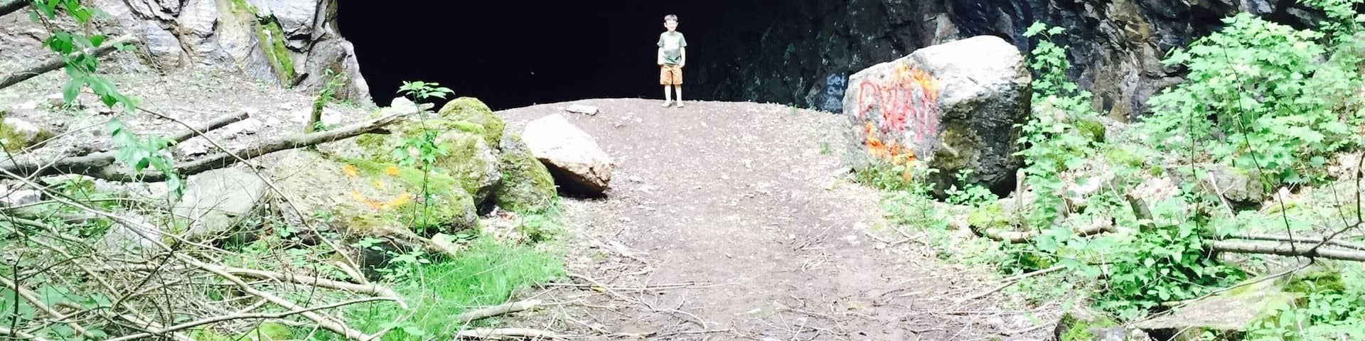 Front entrance to cave system off the Cheat River