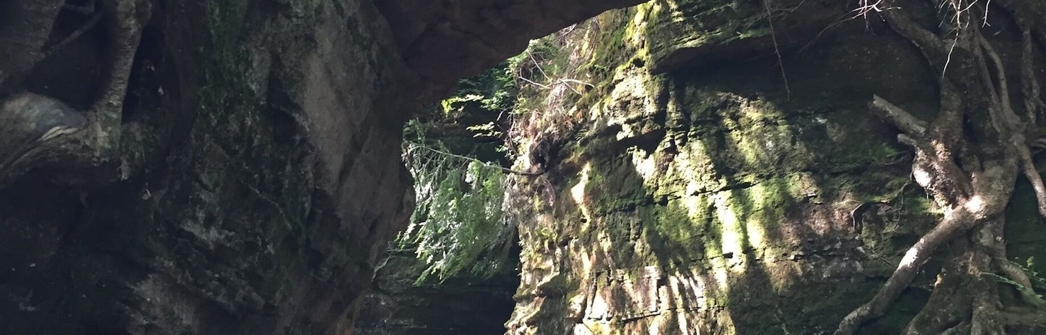 Awesome 1-mile trail you can turn into much more off the beaten path.