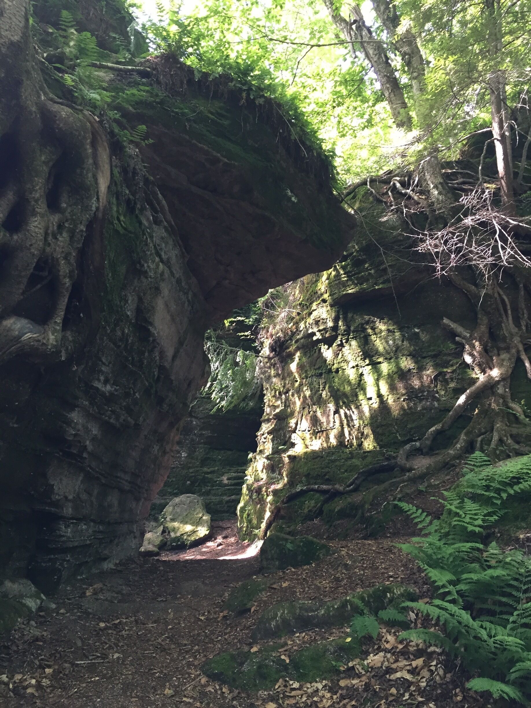A forested area with a large rock formation and a narrow passageway.