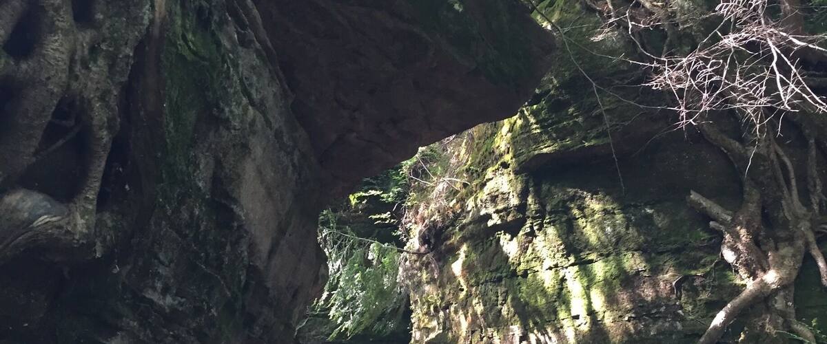 A forested area with a large rock formation and a narrow passageway.