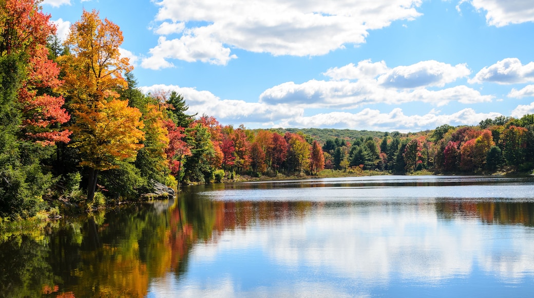 A calm lake surrounded by autumn-colored trees reflecting in the water.