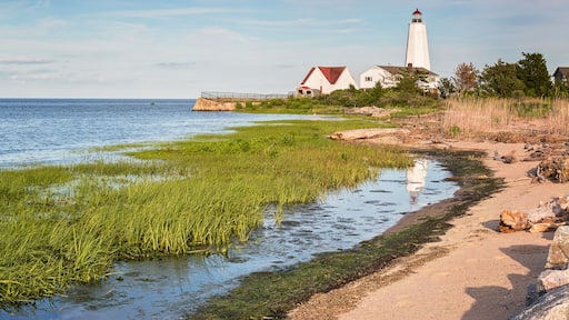 lighthouse reflected in the water
