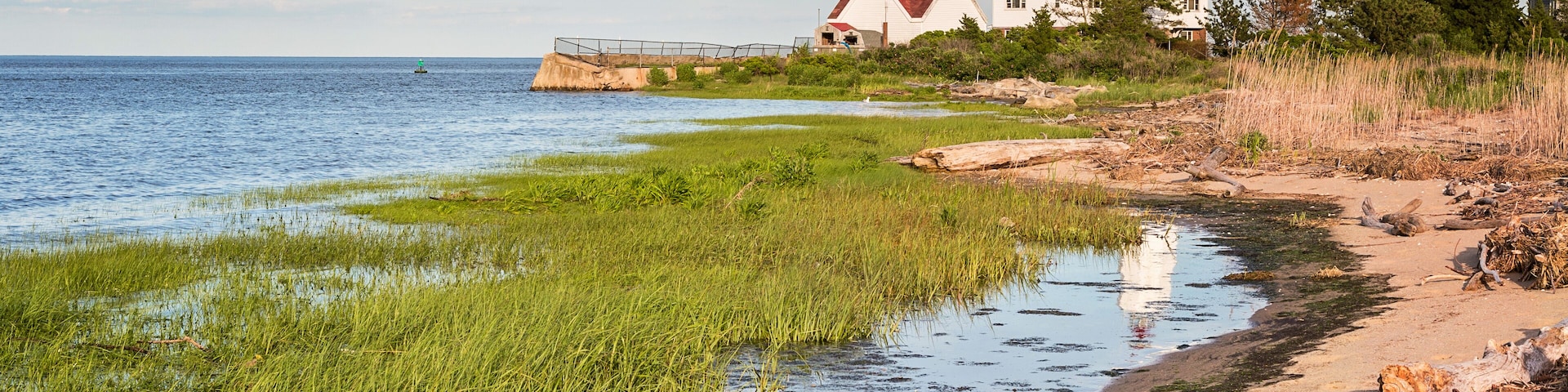 lighthouse reflected in the water