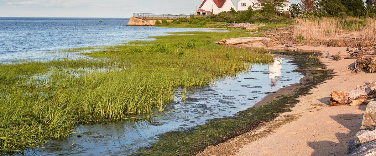 A coastal landscape with a lighthouse, grassy marsh, and a sandy beach.