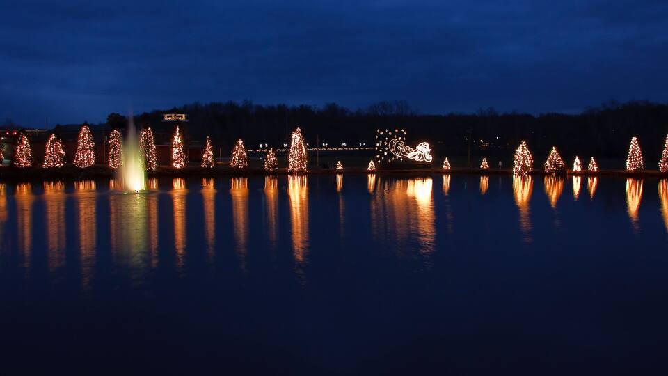 A nighttime view of a lake with Christmas trees illuminated along the shore.
