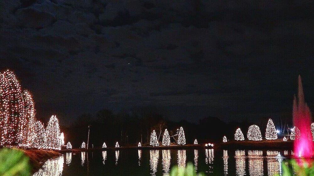 Nachtszene mit einer großen, beleuchteten Weihnachtstanne und einer Reihe kleinerer Bäume an einem Gewässer.