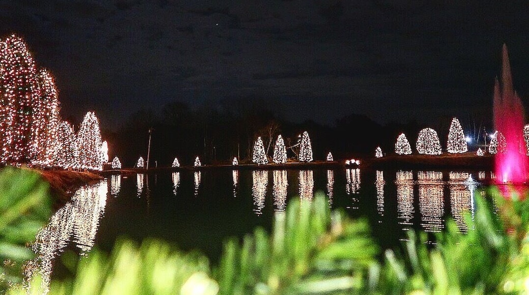 No wonder why this town is called the Christmas Town! 🎄✨ Such a magical place, only 30 minutes from Charlotte, NC.
