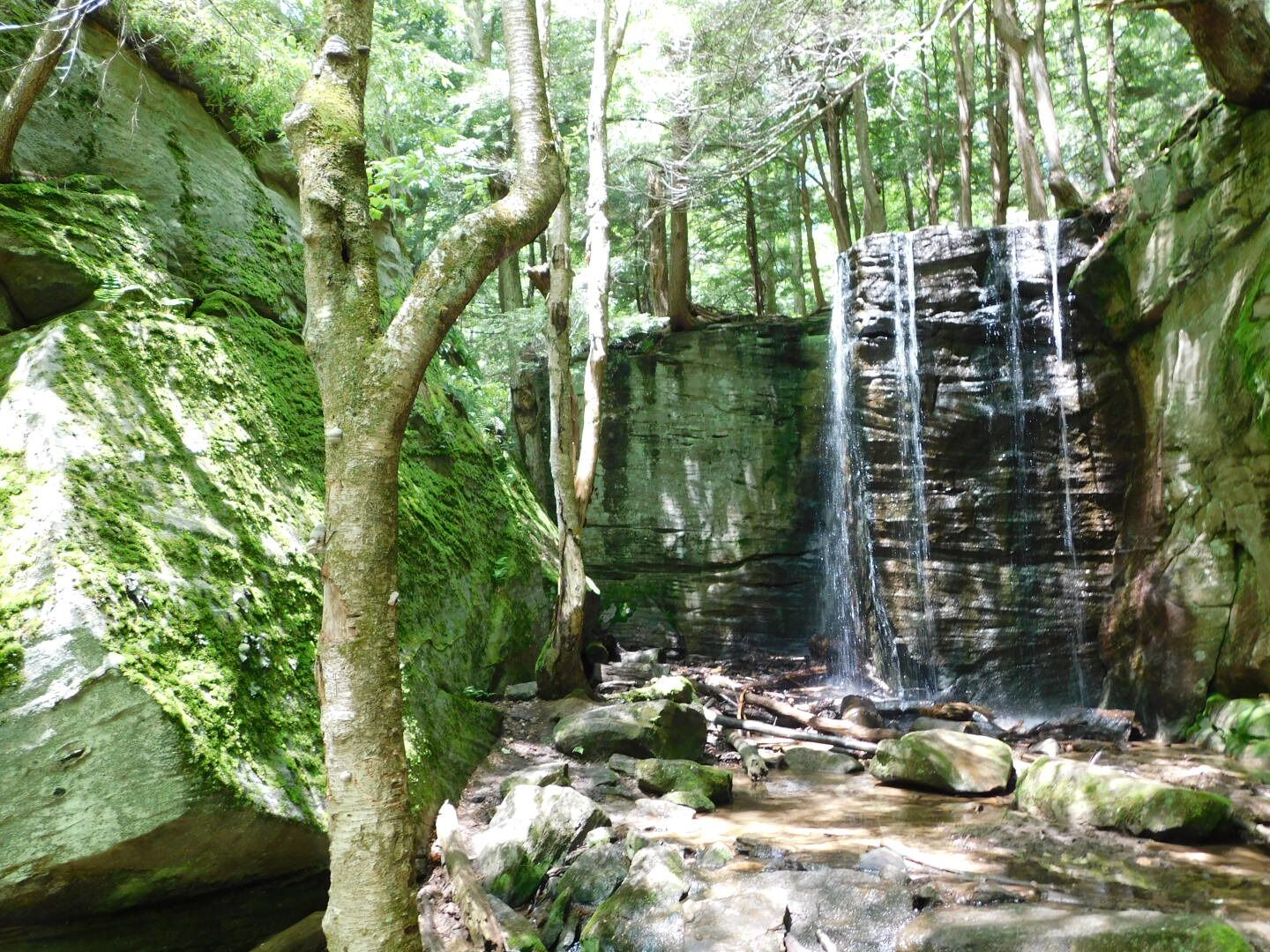 Hector Falls in Allegheny National Forest