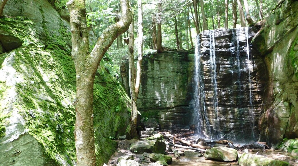 Hector Falls in Allegheny National Forest