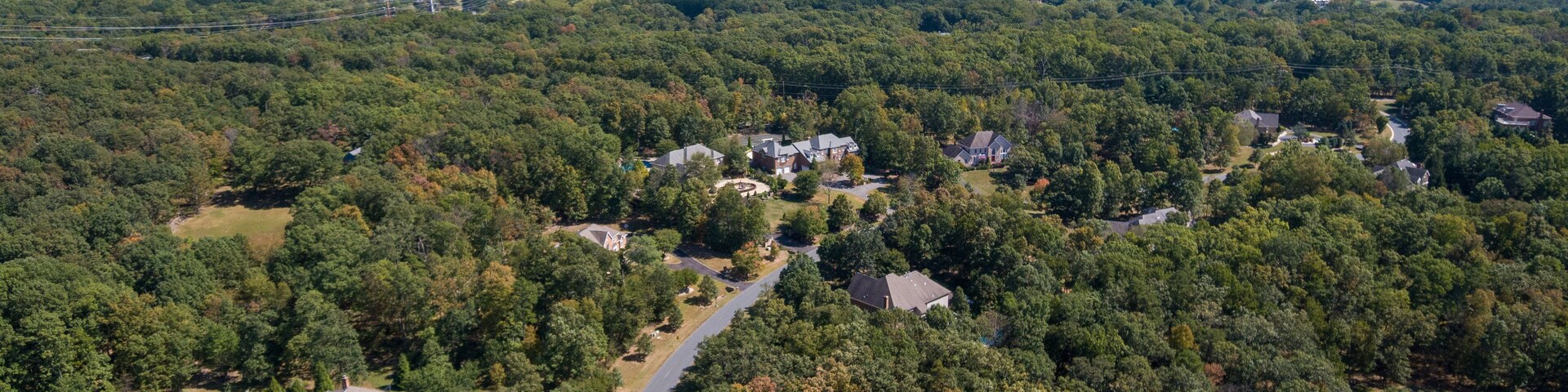 Un barrio residencial con casas rodeadas de un bosque frondoso, una carretera serpenteante y una piscina visible.