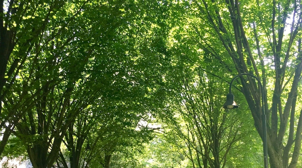 Enjoyable #AquaTrove