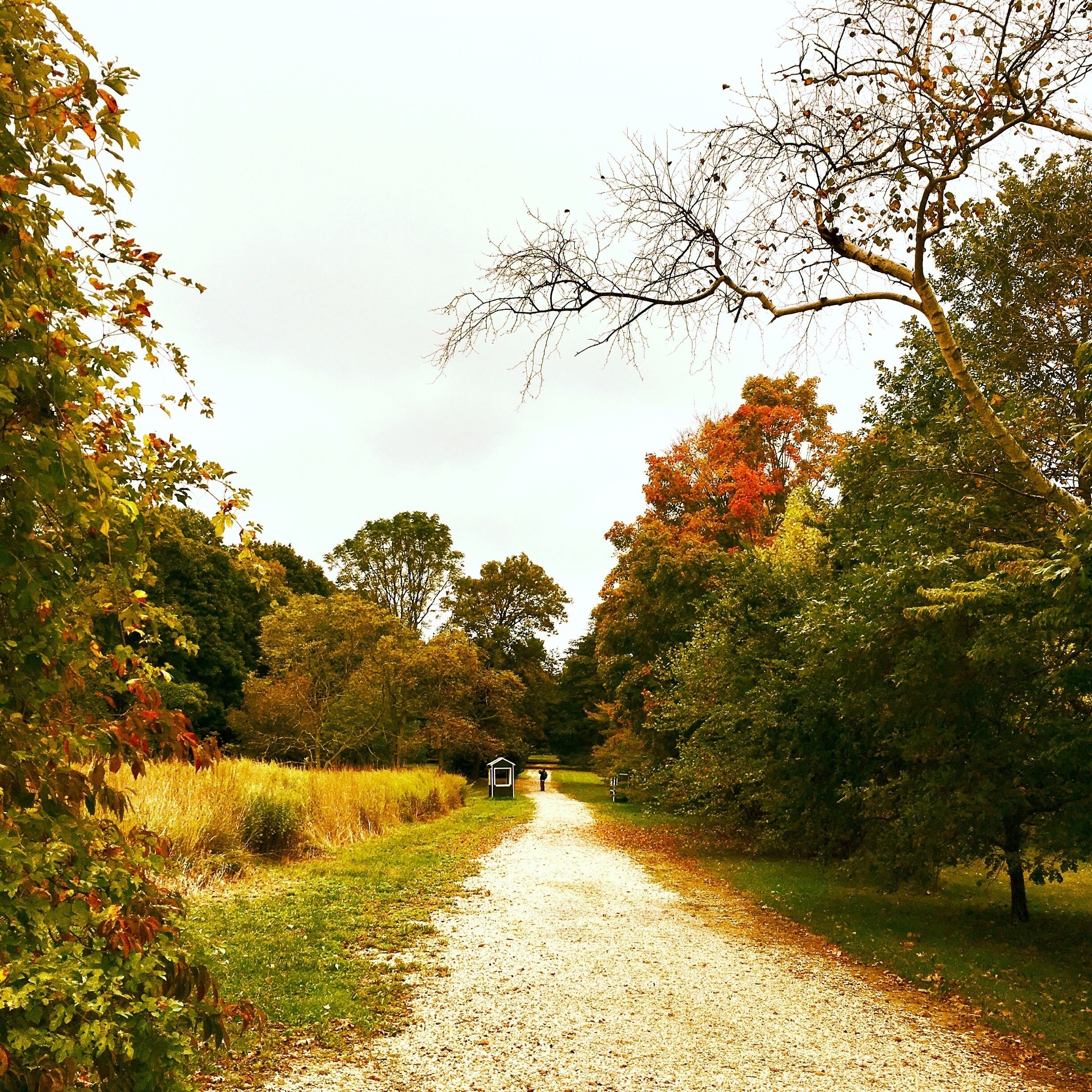 The colors of autumn #Trover
