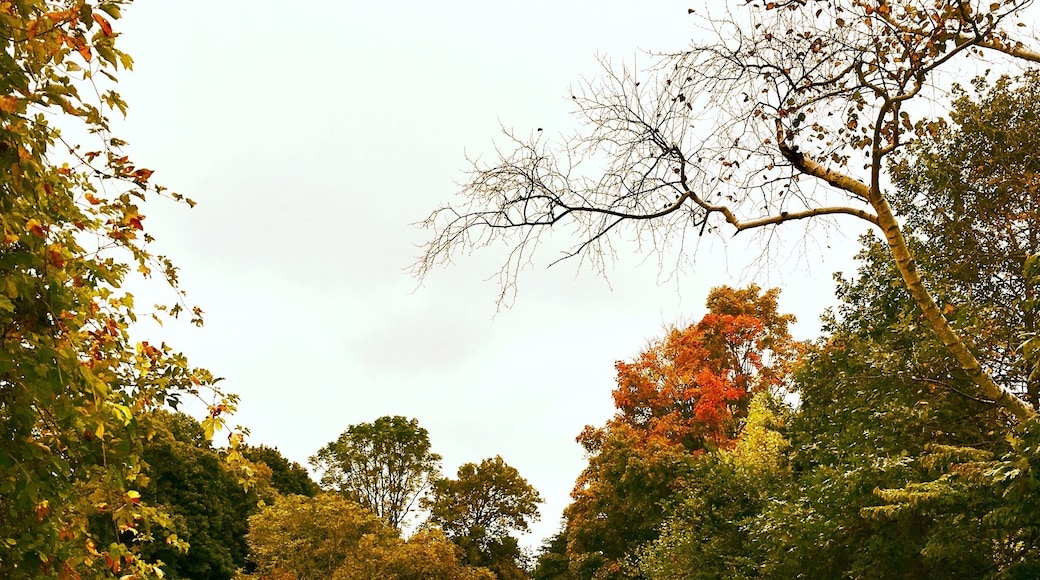 The colors of autumn #Trover