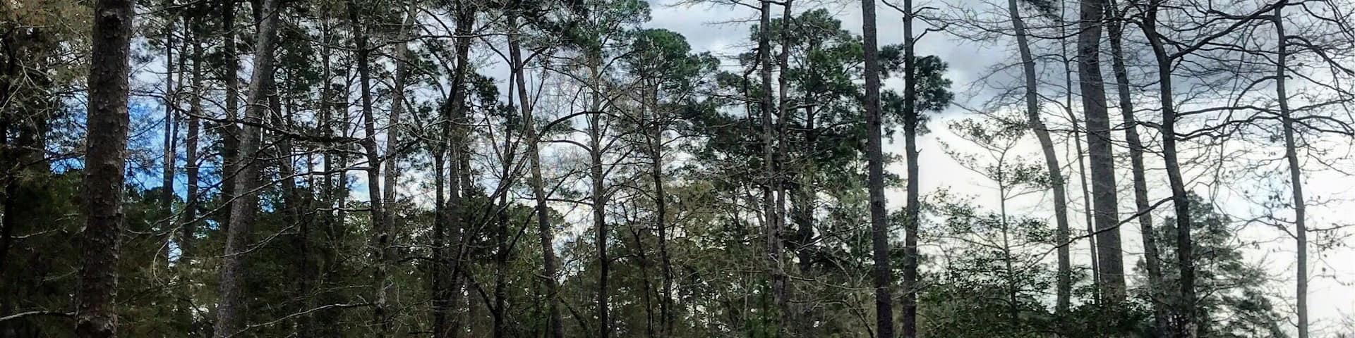 a lot of wet hikes from heavy rains for two straight weeks. it is a nice park tho.