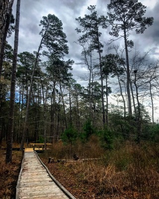 a lot of wet hikes from heavy rains for two straight weeks. it is a nice park tho.