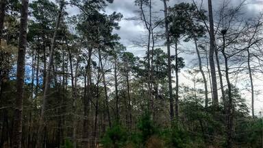 a lot of wet hikes from heavy rains for two straight weeks. it is a nice park tho.