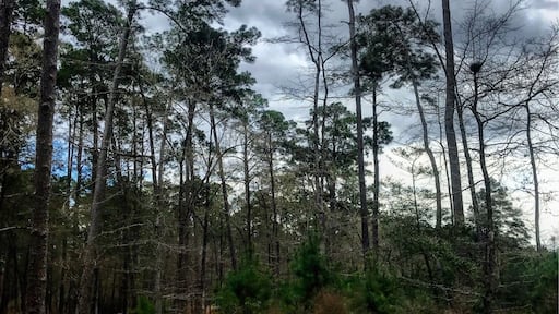 a lot of wet hikes from heavy rains for two straight weeks. it is a nice park tho.