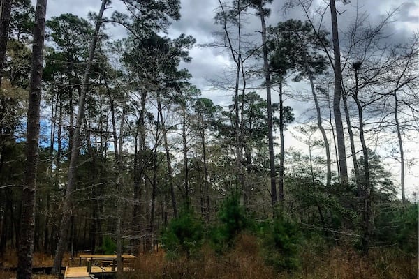 a lot of wet hikes from heavy rains for two straight weeks. it is a nice park tho.