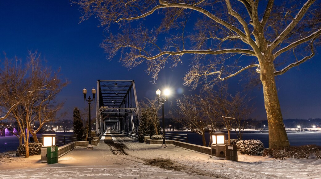 A snow-covered bridge at night with street lamps and bare trees.