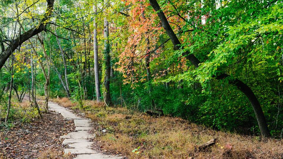 Trails in late autumn near Charlotte, North Carolina