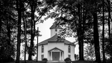 Una iglesia rodeada de árboles altos.