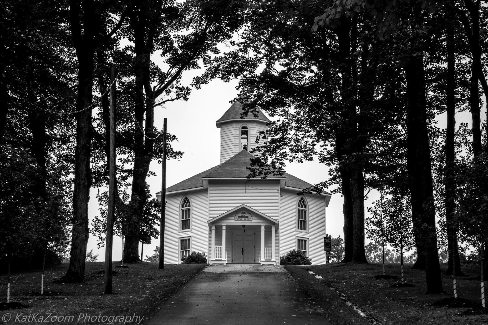 A church surrounded by tall trees.