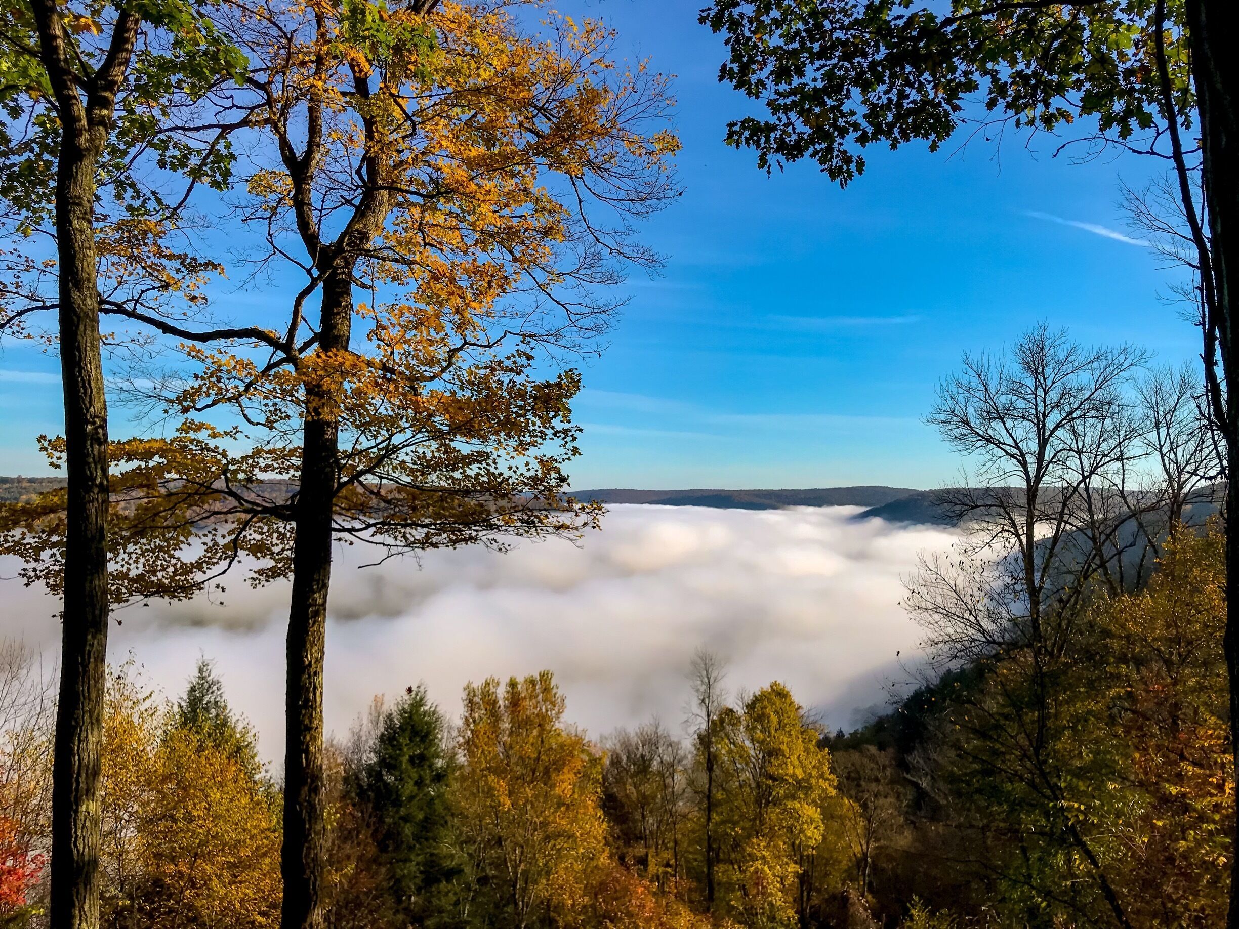 Worth an early morning drive to be above the clouds 