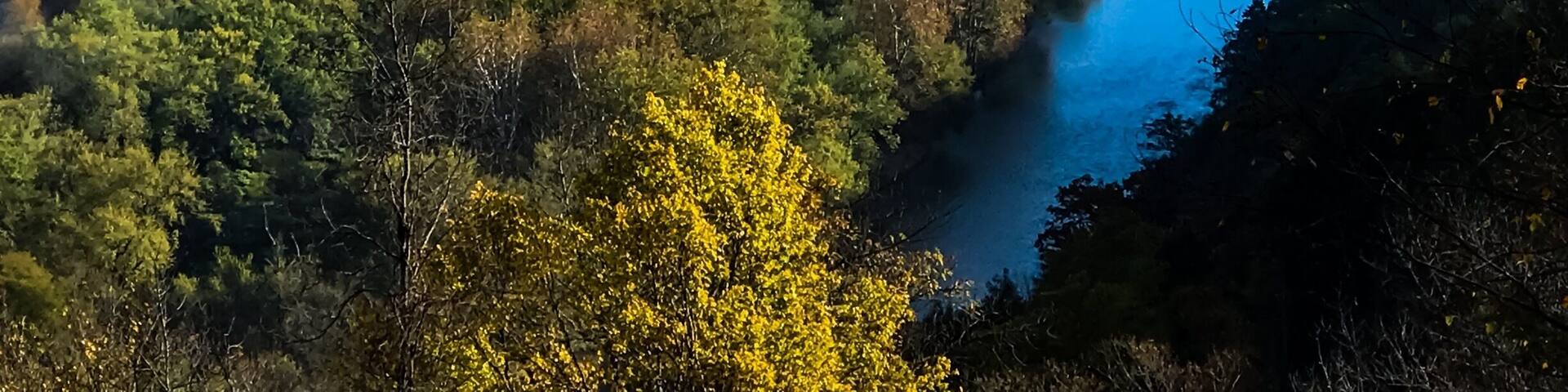 After the fog lifts you can look down on eagles