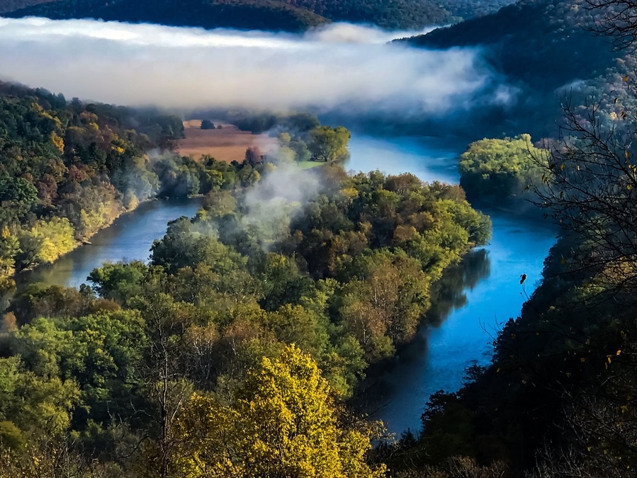 After the fog lifts you can look down on eagles