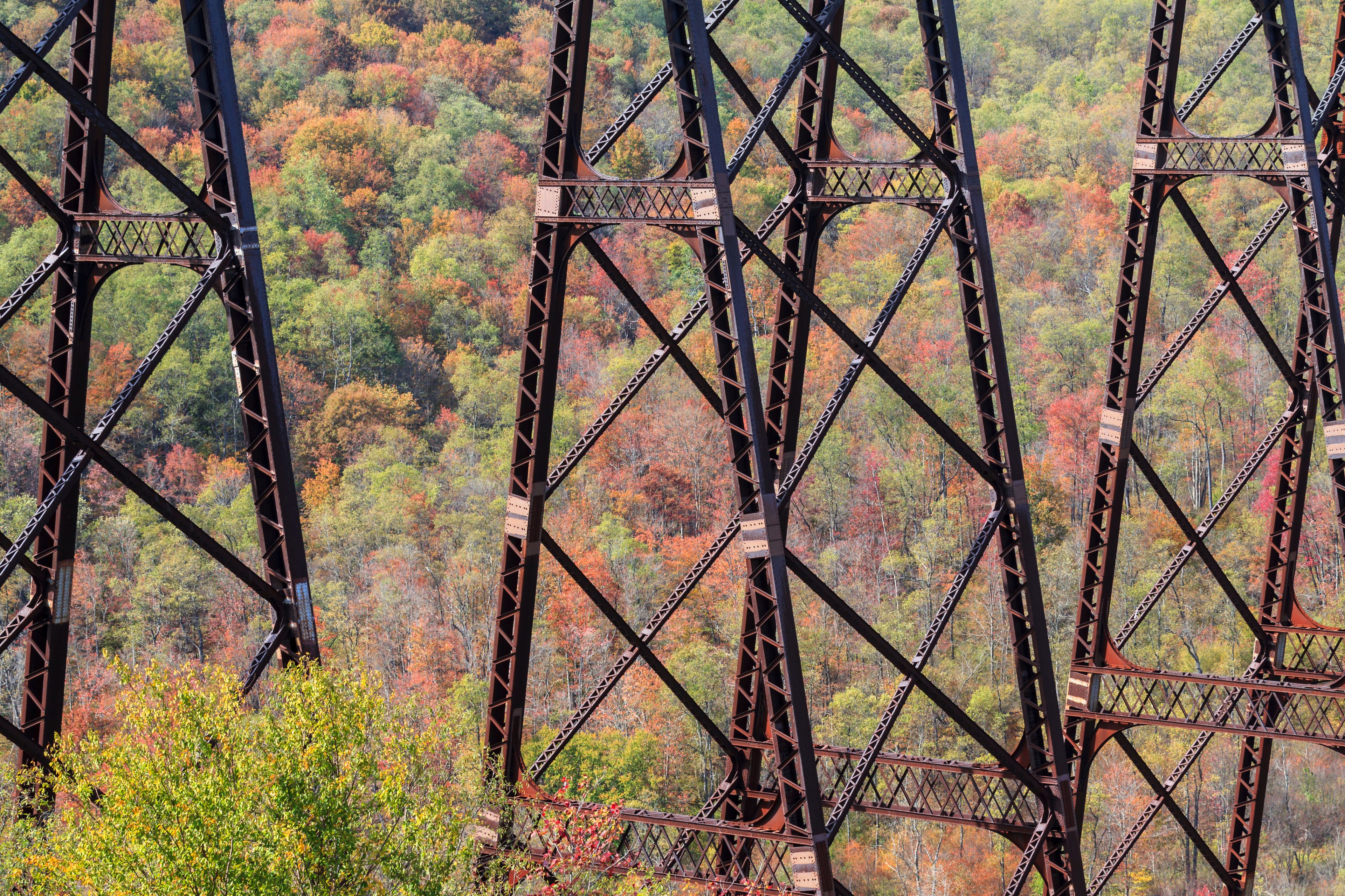 A steel bridge with a complex truss structure amidst a forest with autumn foliage.