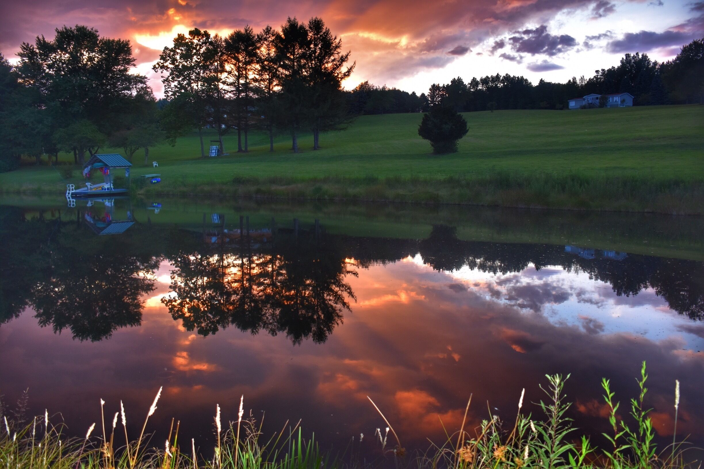 A serene lake with a wooden dock, surrounded by trees and a grassy field.