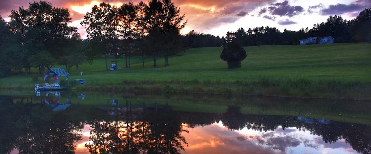 A serene lake with a wooden dock, surrounded by trees and a grassy field.