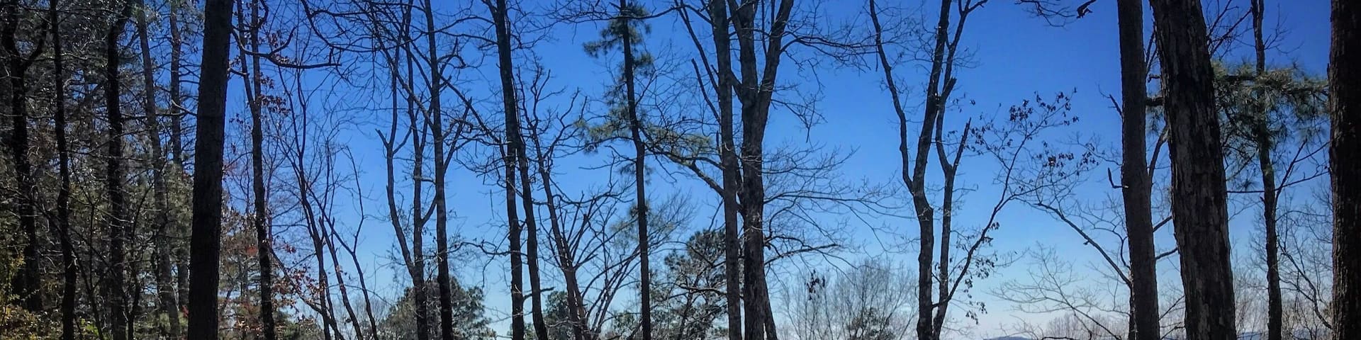 this is the jordan mountain overlook at driskill mountain where it is the highest natural summit in Bienville Parish, Louisiana, with an elevation of 535 feet above sea level.