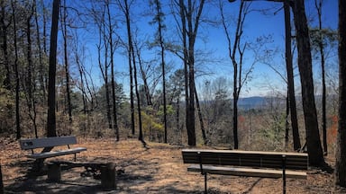 this is the jordan mountain overlook at driskill mountain where it is the highest natural summit in Bienville Parish, Louisiana, with an elevation of 535 feet above sea level.