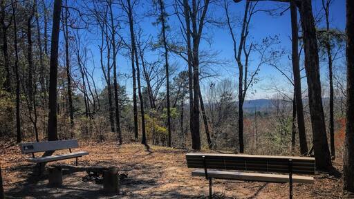 this is the jordan mountain overlook at driskill mountain where it is the highest natural summit in Bienville Parish, Louisiana, with an elevation of 535 feet above sea level.