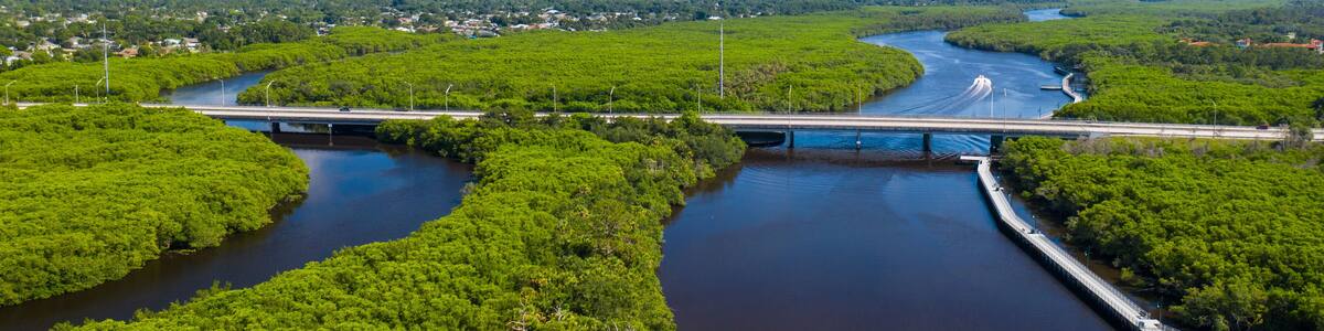 Port St. Lucie is a city on the Atlantic coast of southern Florida. The Port St. Lucie Botanical Gardens features areas devoted to orchids, bamboo and native plants, as well as butterflies and humming