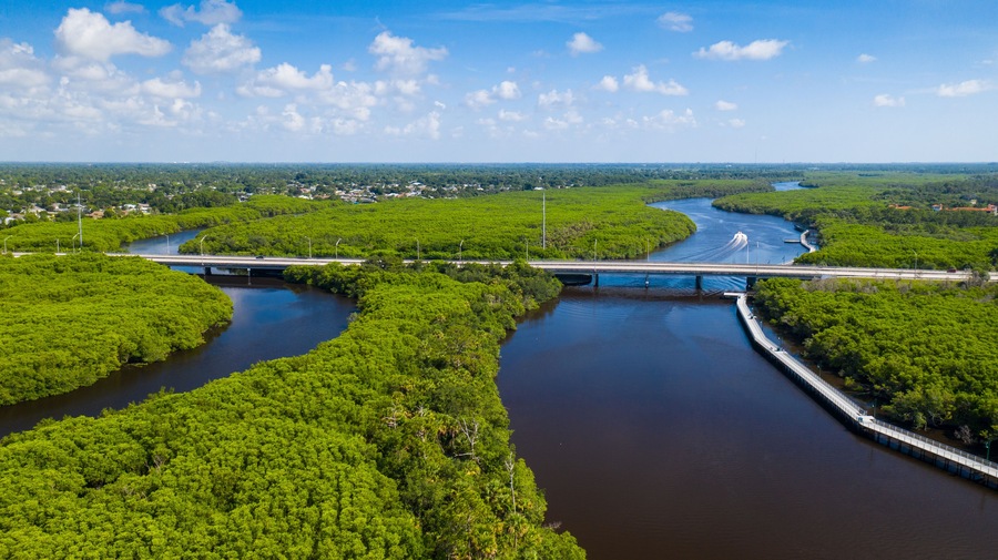 Port St. Lucie is a city on the Atlantic coast of southern Florida. The Port St. Lucie Botanical Gardens features areas devoted to orchids, bamboo and native plants, as well as butterflies and humming
