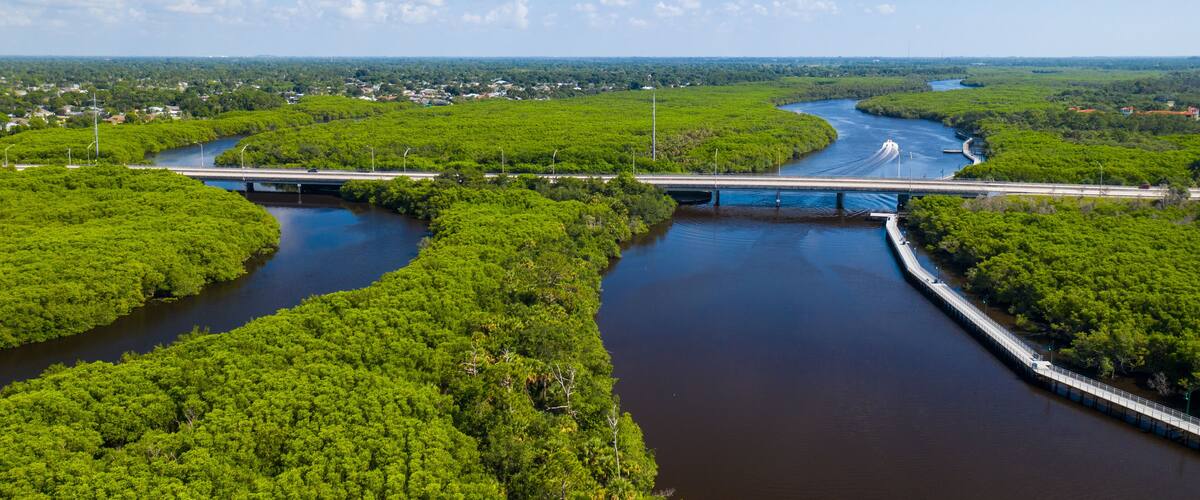 A river with a bridge and surrounding greenery.