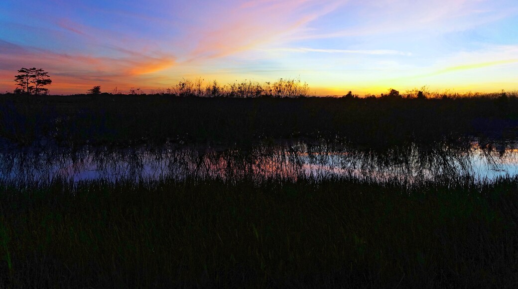 バイユー ケイン