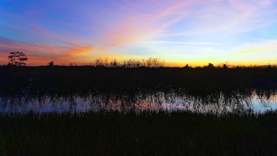 A sunset over a wetland with silhouetted trees and a calm water surface reflecting the sky.