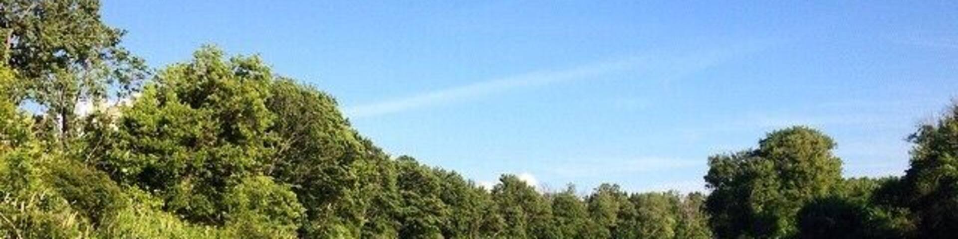 s u m m e r t i m e🌾🔆
www.SunshineandSkylines.com