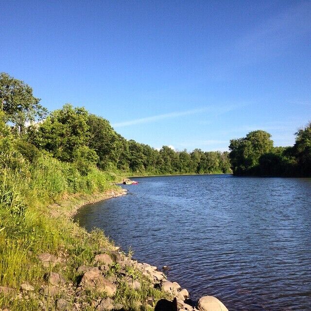 A river with a rocky shoreline and dense green trees on both sides.