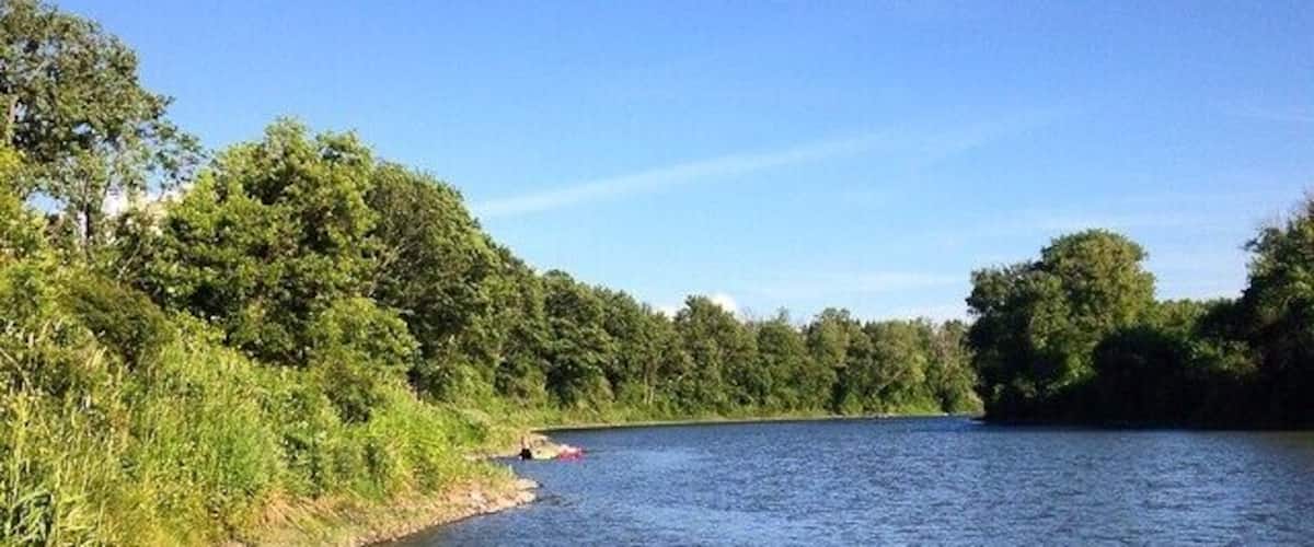 A river with a rocky shoreline and dense green trees on both sides.