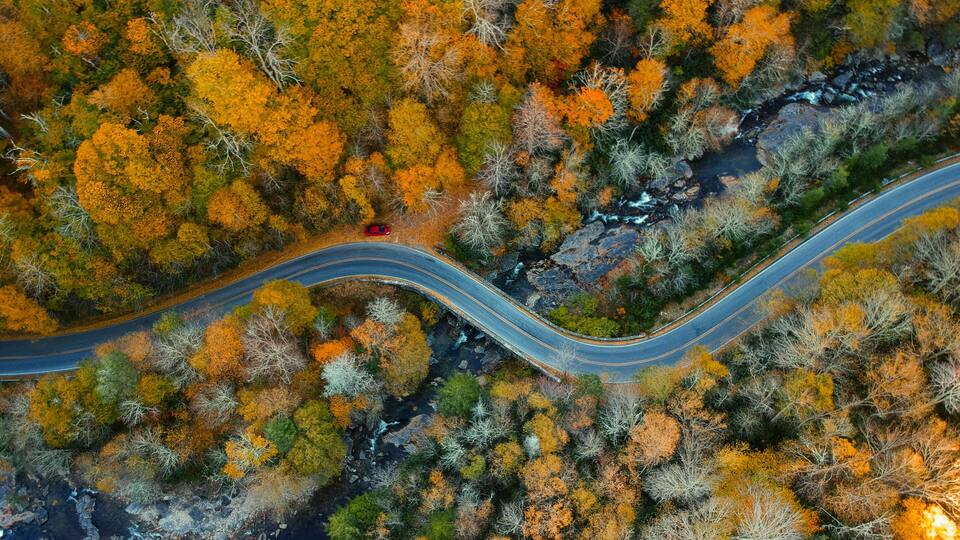 Aerial Drone view of Autumn / fall in the Blue ridge of the Appalachian Mountains near Asheville, North Carolina. Vibrant red, yellow, orange leaf foliage colors on the curve of mountain road side.