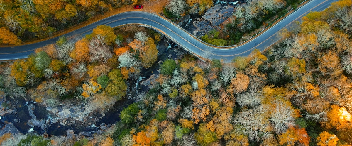 An aerial view of a winding road through a forest with autumn foliage.