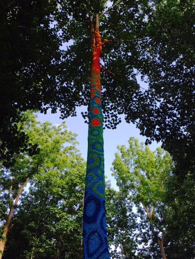 Tree with a crocheted sweater @ #avalonpark #stonybrook
#crochet
#sweater