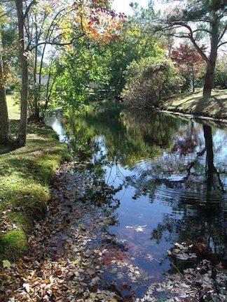 Carolina Colors on a Creek in Fall. Paddling is fun in all seasons.